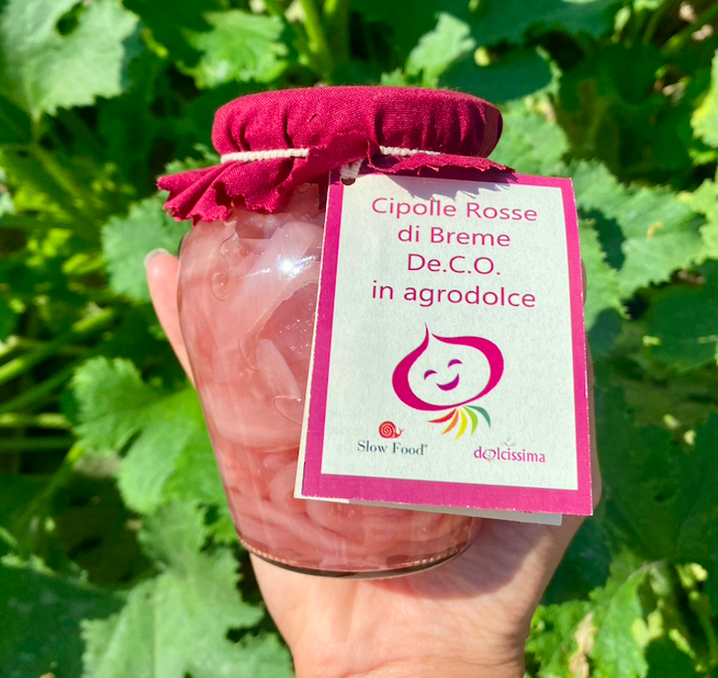 cipolle-rosse-di-breme-in-agrodolce