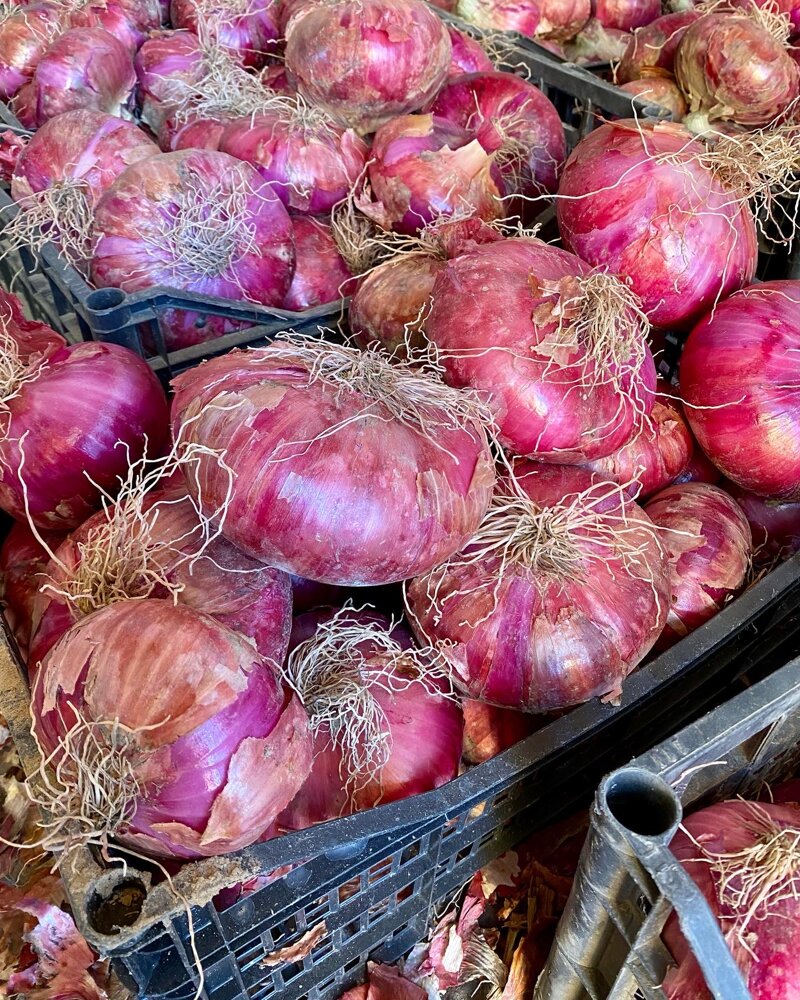 cipolla-rossa-di-breme-deco-fresca-5kg