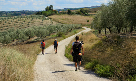 68e7efae321634769b1504589f422af92f54ccc7