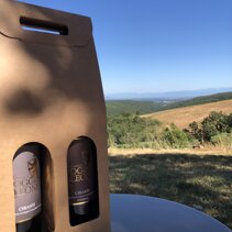 Vino Chianti Poggio Leone