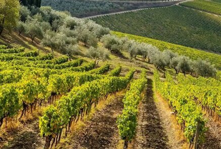 bdb6a499f03539c1bff2bd4d8911c05e19527c8f