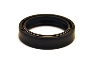 paraolio-forcella-42-mm