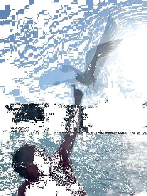 269525aa71ce6b27af74dde3bf89873f7ff85bd0 269525aa71ce6b27af74dde3bf89873f7ff85bd0