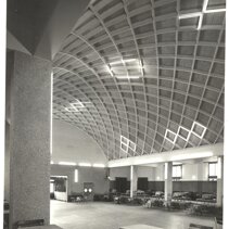 Arlecchino 1950