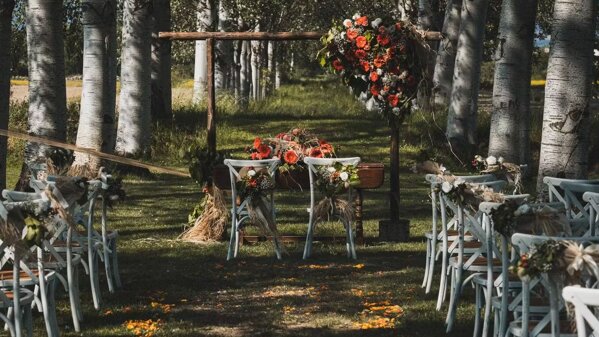 27a7dafe-df3e-4963-b518-2c2e723f19b1 27a7dafe-df3e-4963-b518-2c2e723f19b1