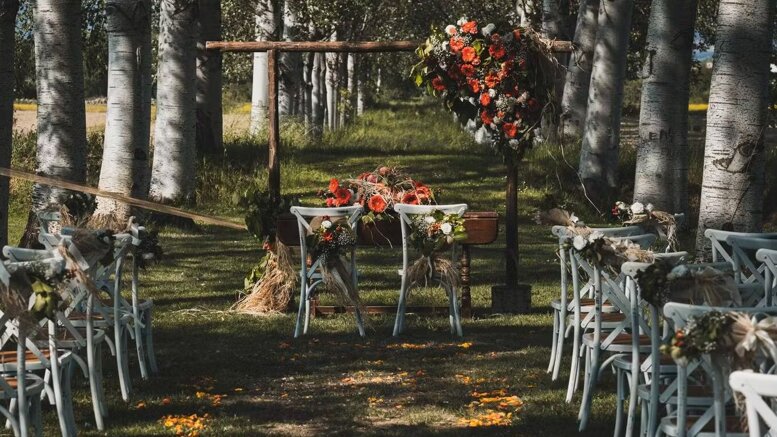 27a7dafe-df3e-4963-b518-2c2e723f19b1