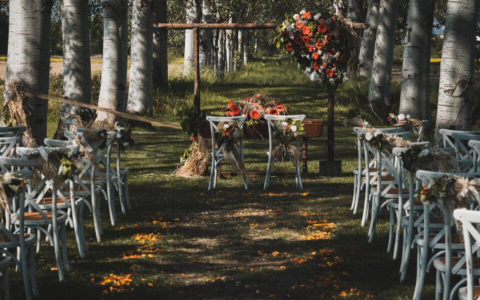 matrimonio agriturismo festa matrimonio agriturismo festa