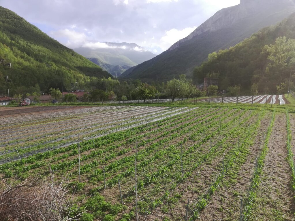 1a9e0ee5ba7196ab64f218478bd10f52755d90c6