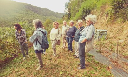 1c8e83362549ade3c239c226c12023ab0d335a97