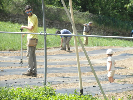 41bb92d7696fa4817b7d1370a3c298d64221f926