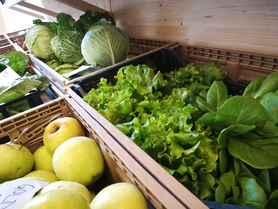 4c78812ac475a6a36e82cfc6dcac7e828ca802d2 4c78812ac475a6a36e82cfc6dcac7e828ca802d2