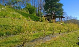 776b9c1a7083bb5e44ba7d714c6933fd20027722