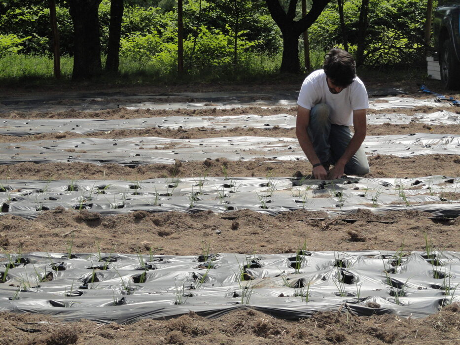 7ccdcee2e6755f5266953bfb54bd84e9002a5bc9 7ccdcee2e6755f5266953bfb54bd84e9002a5bc9