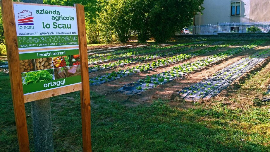 85498de3267eb47e15a9802b124046eed7340f89