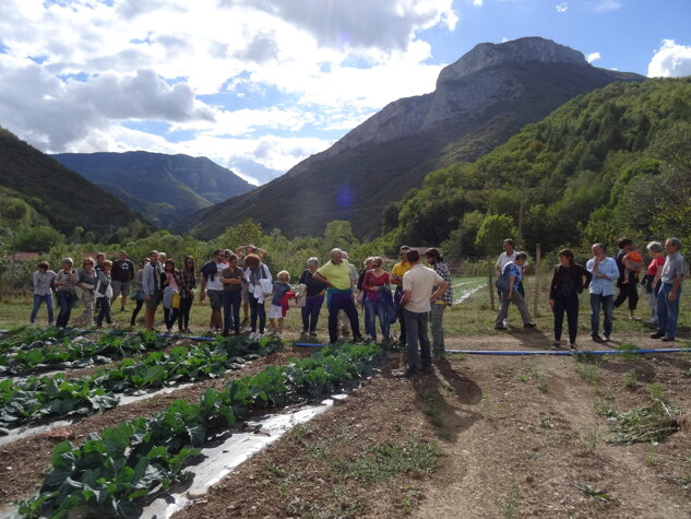 e23f908d243be623799960659993a5a613f7a46c