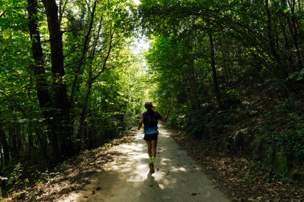 a818930d92eddc7cdf2a30bce0b454637f811720