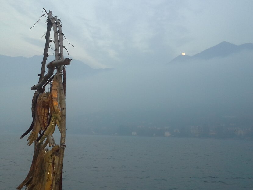 15fb6b229516b5cd7892d2f6c125f1fe1ede49d8