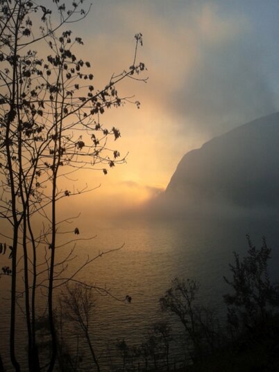 dc09660a1e3d55388840d87f1cfb41489203e41e