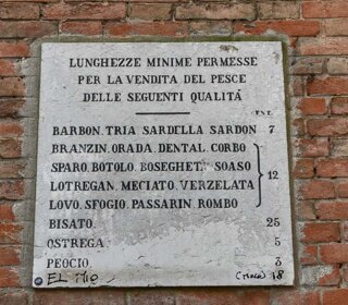 mercato_del_pesce_di_rialto.jpeg mercato_del_pesce_di_rialto.jpeg