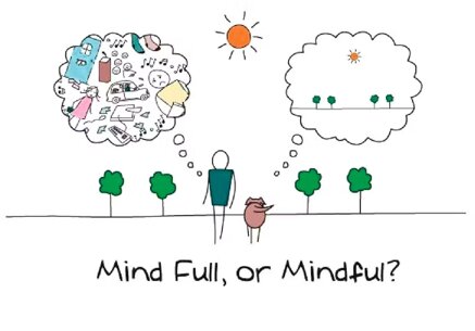 Mente piena o piena consapevolezza?