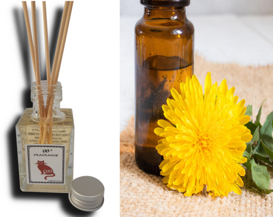 b307b789-3630-48d2-a638-1bfef653423f