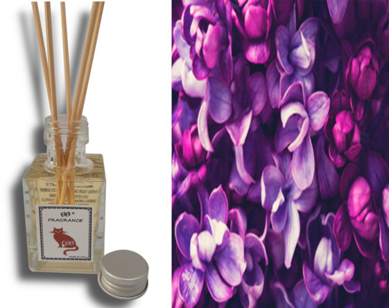 fa1600ae-fb80-4ab7-88db-1a54f36e7cb6