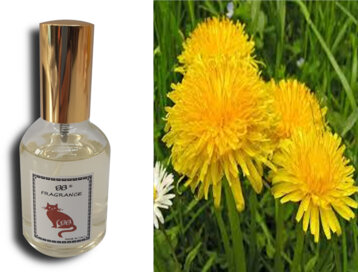 adc44838-cce7-43dc-8319-72fa236621cc