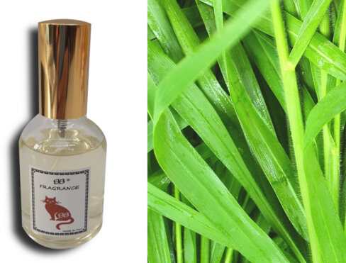 2c74fa5b-024b-4b3b-ab61-2f8eba08d207