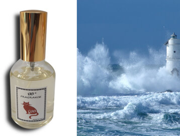 25785675-0af8-4287-b127-1608f08c5fe2