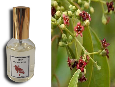 3ace1862-30d1-4a73-9d82-b7d6e8b2d781