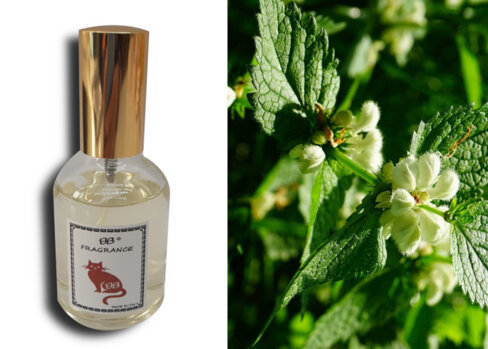 df2f3d61-53a4-4ad4-ad84-7e7d131fee59