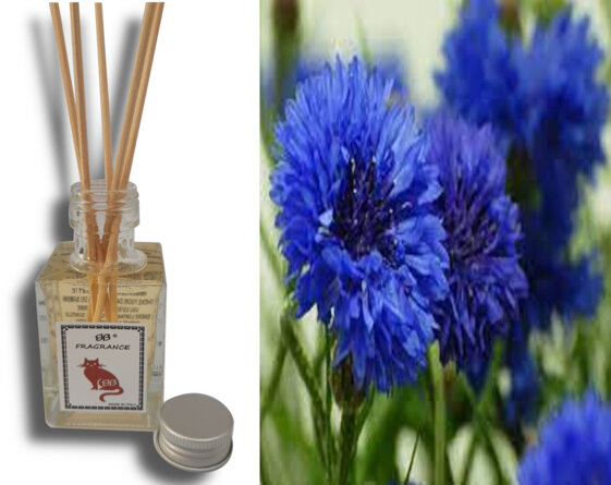 3b01a363-2dc3-4dbd-a0de-0578c7d8a4c4