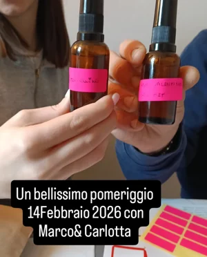07ed9dda-33f5-49a3-96d6-571fa71da46a.jpeg