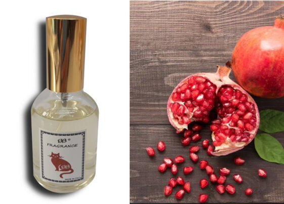 13074bc2-7c05-4261-ac07-e2fd49e81a32