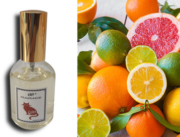 1251d189-cdae-4195-aacd-1beaf218e4d1