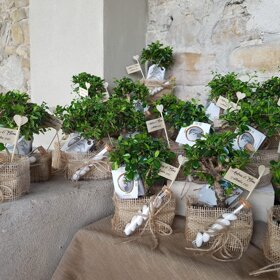 f05c5e825ecb7e36fd0274cf99f9705cec6f775c