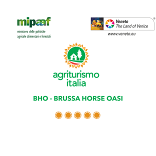 bho - brussa horse oasi
