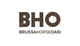 2026_biglietto_da_visita_bho