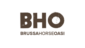 2026_biglietto_da_visita_bho