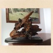 f16aeb56-b29f-4fea-ad94-8571b73b23ca