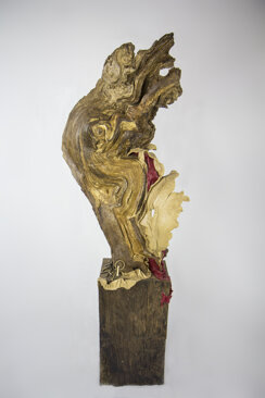 fcaae49a-6590-44e7-ba6c-1a0fe716dd65 fcaae49a-6590-44e7-ba6c-1a0fe716dd65