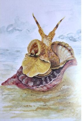 4e5e9bee-d417-4561-a3fa-1272ed7b99fa