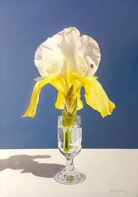 87ebf65b-5d9b-4a50-a48e-00ed444489da