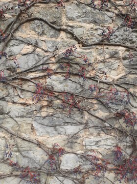 6c9cc575-a179-449c-80ad-602eaf4957ce