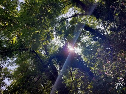 4b0c29dc-9f89-463f-bc25-05adeaf54ae8 4b0c29dc-9f89-463f-bc25-05adeaf54ae8