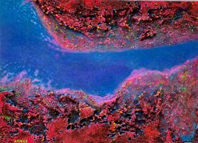 a9d816e8-8750-499c-b719-5d584dbe7dc8