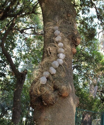 109fe38a-630d-48f9-9926-c09a18a6d02c