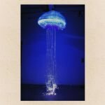 c22d8e31-52f5-4d03-b87d-33e32a288f23