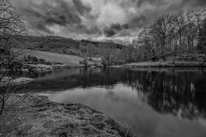 53b1985f-9abc-446a-af7c-0fd8e88ec297