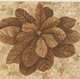 1a642271-e59e-4a65-a114-20ed10092e3b